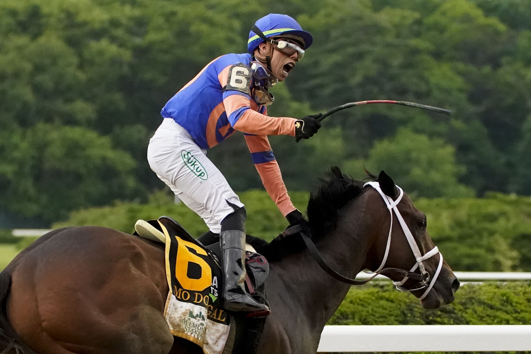 Belmont Stakes Horse Racing